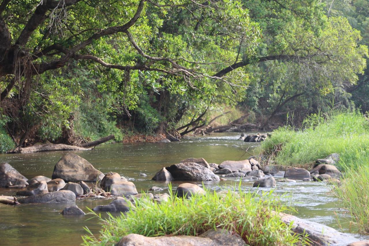 Lions Rock Rapids - Luxury Tented Camp Hazyview Ngoại thất bức ảnh