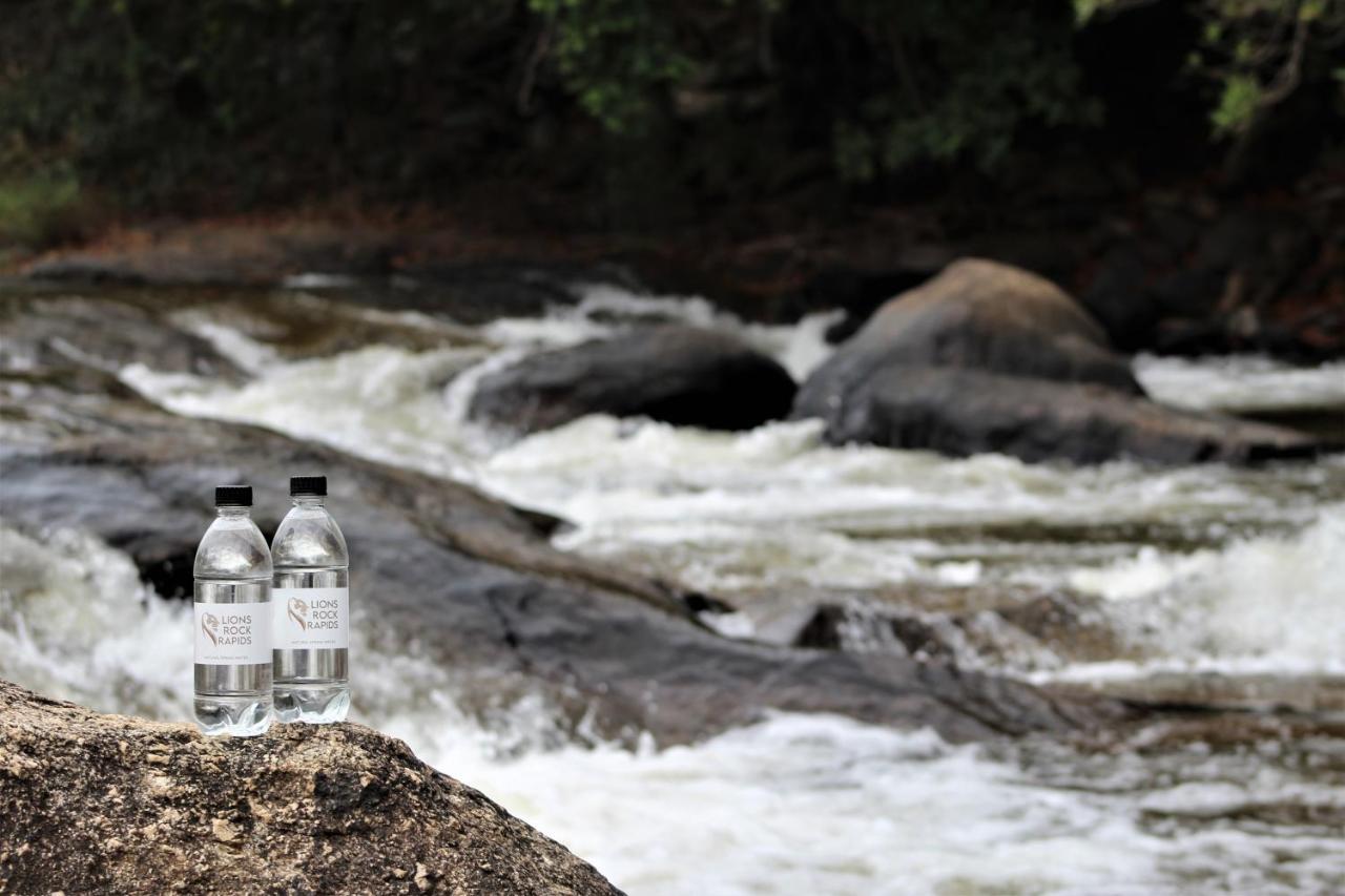 Lions Rock Rapids - Luxury Tented Camp Hazyview Ngoại thất bức ảnh