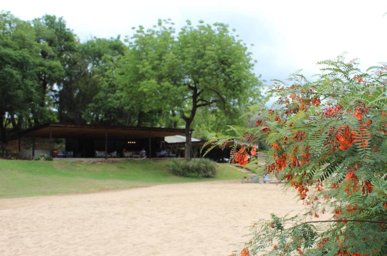 Lions Rock Rapids - Luxury Tented Camp Hazyview Ngoại thất bức ảnh