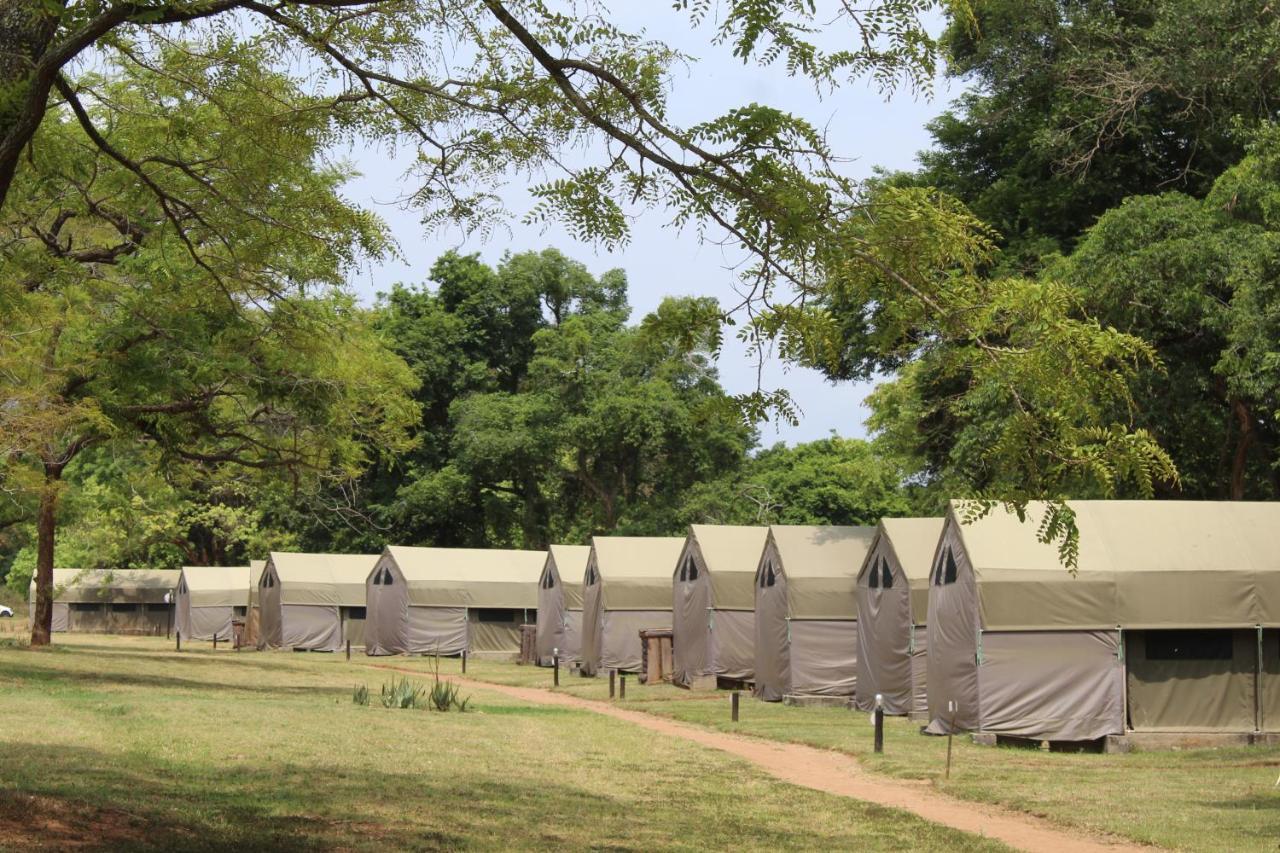 Lions Rock Rapids - Luxury Tented Camp Hazyview Ngoại thất bức ảnh