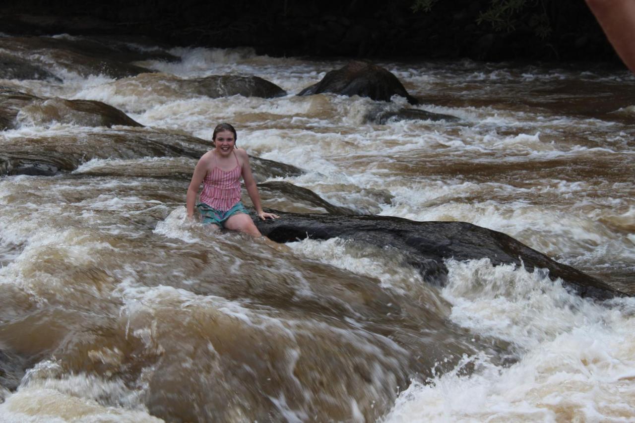 Lions Rock Rapids - Luxury Tented Camp Hazyview Ngoại thất bức ảnh
